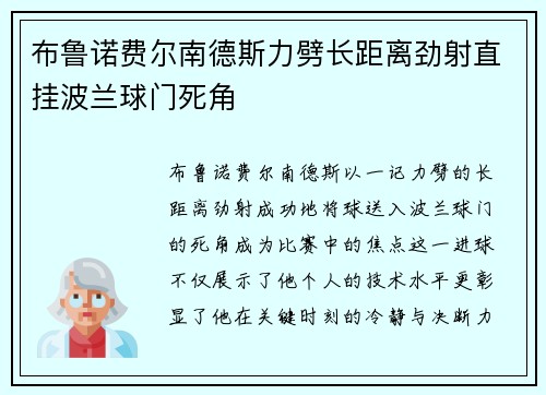布鲁诺费尔南德斯力劈长距离劲射直挂波兰球门死角